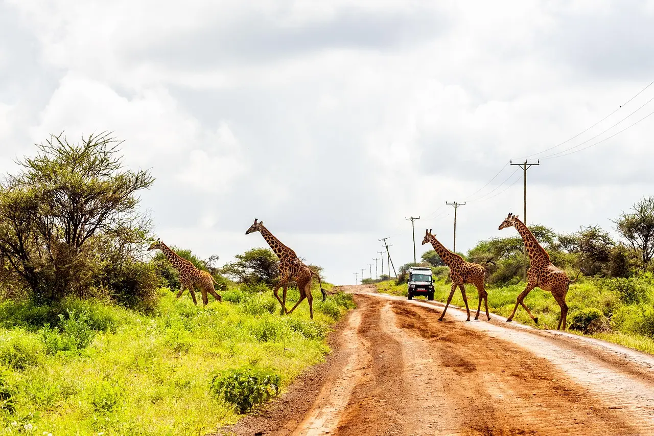 Kenya’s Travel Industry Rethinks Graduate Skills as AI Reshapes Travel Careers - Kenya Association of Travel Agents